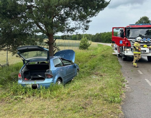 Samochód osobowy uderzył w drzewo. Jedna osoba trafiła do szpitala (zdjęcia)