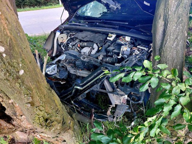 18-latek uderzył citroenem w drzewo. Młody mężczyzna trafił do szpitala (zdjęcia)
