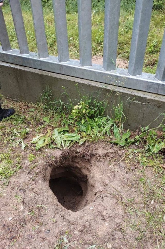 Podkop pod zaporą i atak na funkcjonariuszy. Kolejna niespokojna doba na granicy polsko-białoruskiej (zdjęcia)