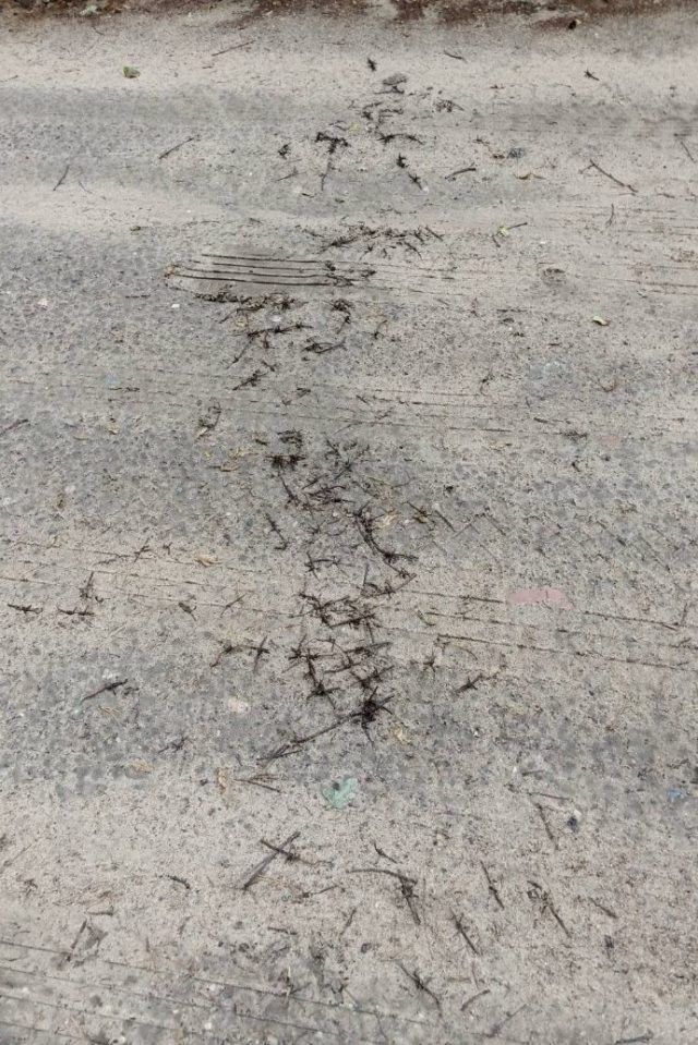 Podkop pod zaporą i atak na funkcjonariuszy. Kolejna niespokojna doba na granicy polsko-białoruskiej (zdjęcia)