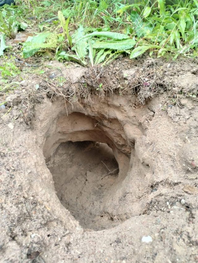 Podkop pod zaporą i atak na funkcjonariuszy. Kolejna niespokojna doba na granicy polsko-białoruskiej (zdjęcia)