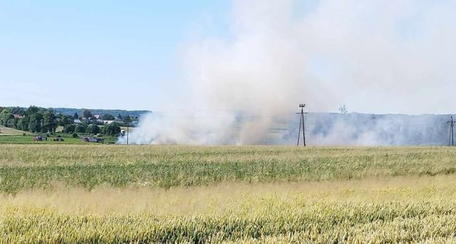 Strażacy walczą z pożarem łąk. Ogień się rozprzestrzenia, zagrożone są pola uprawne (zdjęcia, wideo)