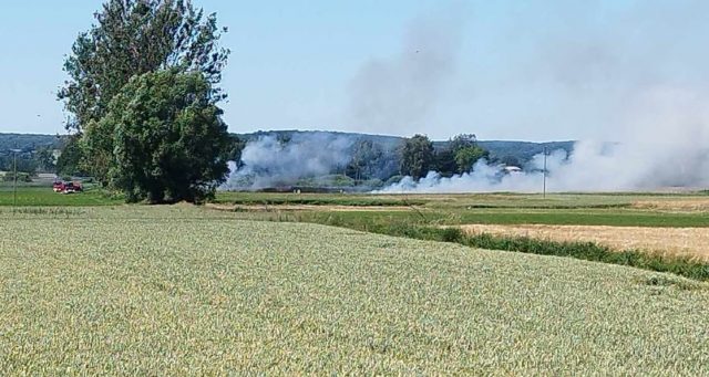 Strażacy walczą z pożarem łąk. Ogień się rozprzestrzenia, zagrożone są pola uprawne (zdjęcia, wideo)