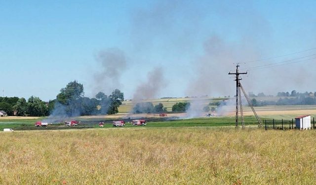 Strażacy walczą z pożarem łąk. Ogień się rozprzestrzenia, zagrożone są pola uprawne (zdjęcia, wideo)