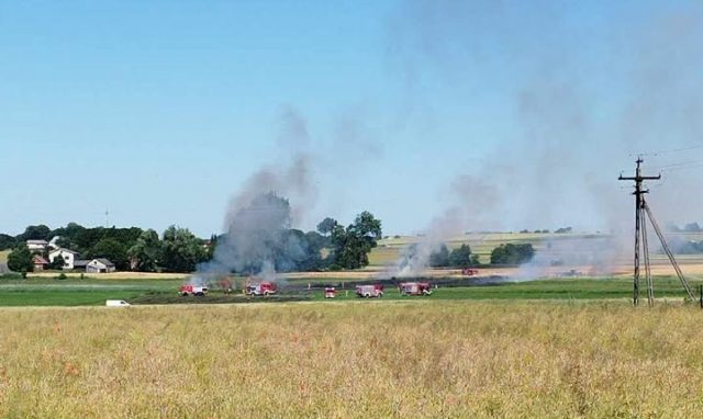 Strażacy walczą z pożarem łąk. Ogień się rozprzestrzenia, zagrożone są pola uprawne (zdjęcia, wideo)