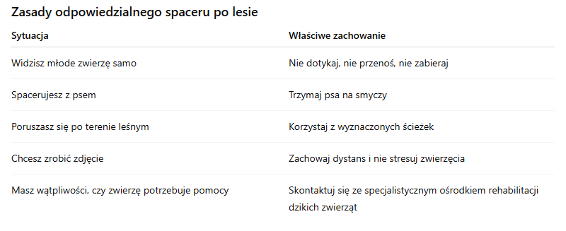 Leśne baby boom w polskich lasach. Dlaczego nie wolno zabierać młodych zwierząt?