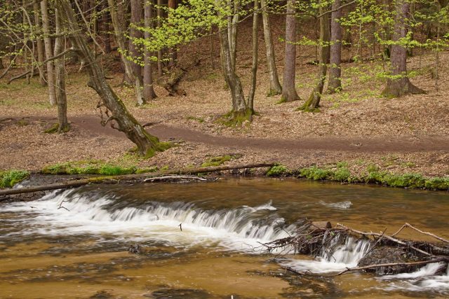 Szumy nad Tanwią 