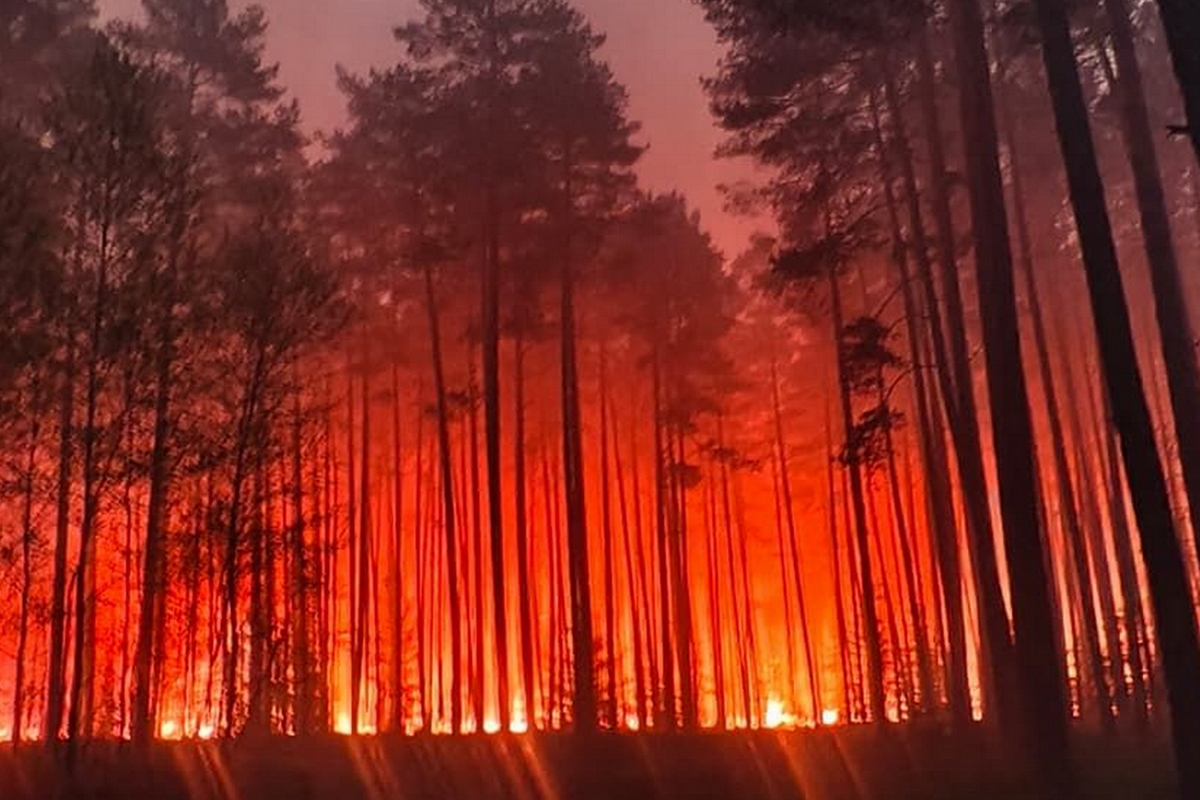 Tragedia podczas gaszenia lasu na Roztoczu. Rozbił się samolot gaśniczy, jedna osoba nie żyje AKTUALIZACJA – Lublin112.pl