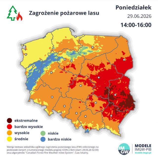 Już nie wysokie, lecz ekstremalne zagrożenie pożarowe w lasach Lubelszczyzny