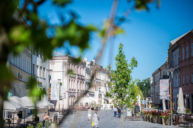 Krakowskie Przedmieście odzyskuje zieleń. W centrum Lublina posadzono już 10 nowych klonów