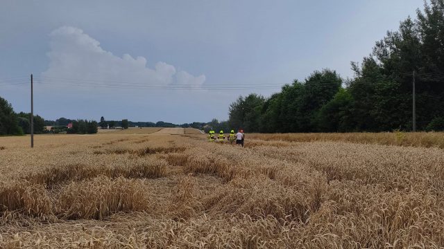 Ptaki podpaliły zboże. Sąsiad ruszył z gaśnicami, udało mu się stłumić ogień