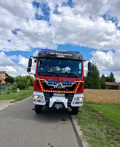 Legwan znaleziony w przepuście pod drogą. Nie wiadomo, skąd się tam wziął