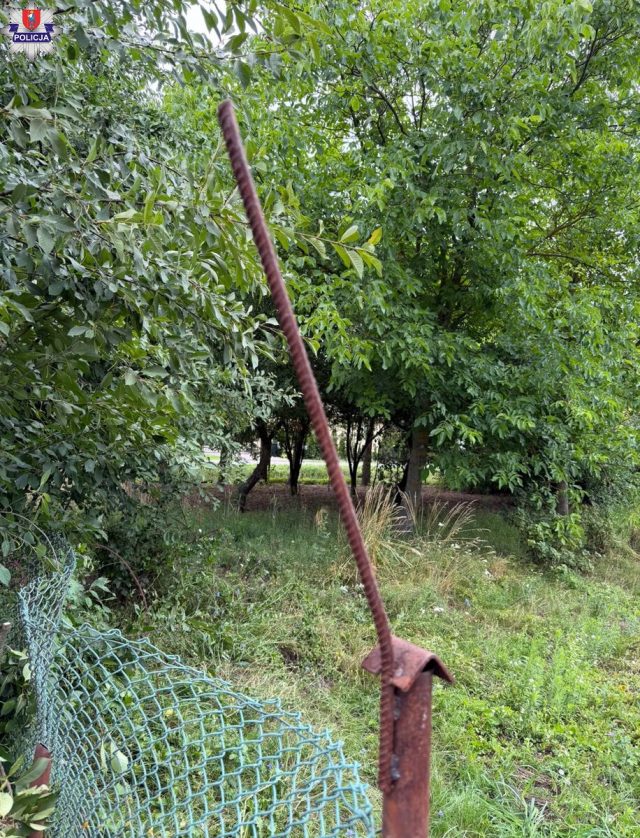 Groźny wypadek podczas zbioru wiśni. 65-latka nadziała się na metalowy pręt