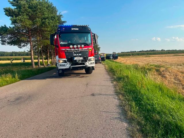 Wypadek w Bychawce. Na lokalnej drodze auto uderzyło w drzewa, kierowca się oddalił