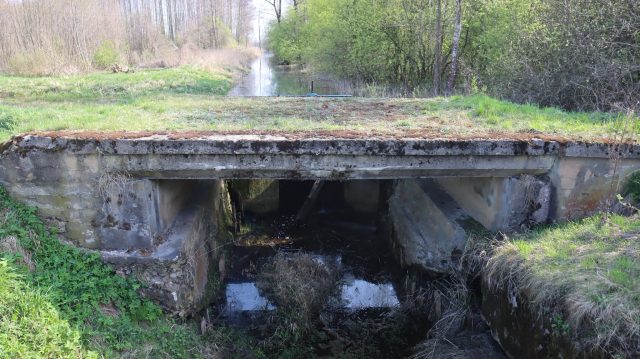 Wyglądają niepozornie, jednak mają bogatą historię. Dwa mosty z województwa lubelskiego stały się zabytkami
