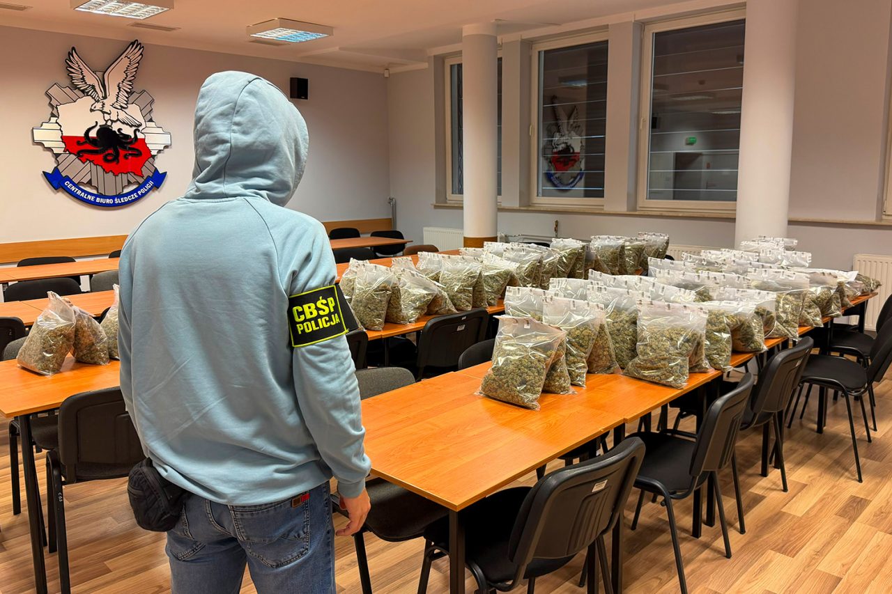 Ponad 50 kg marihuany i 2 kg kokainy przejęte w Raszynie. Narkotyki dotarły z Hiszpanii