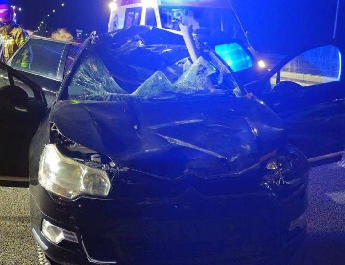 Łoś wbiegł pod samochód na S19. Dwie osoby trafiły do szpitala