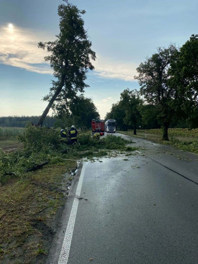 Gwałtowna burza nad gminą Stężyca. 48 interwencji strażaków, uszkodzone domy i samochody