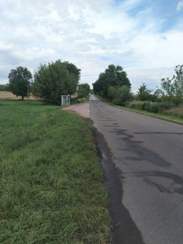 Śmiertelne potrącenie w Siekierzyńcach. Policja poszukuje kierowcy i świadków