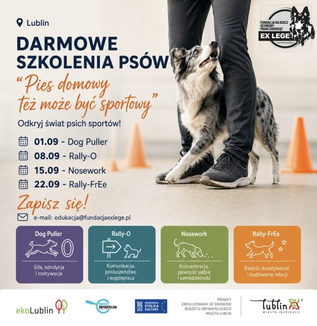 Psie sporty w Lublinie. Cztery wrześniowe spotkania dla mieszkańców i ich czworonogów