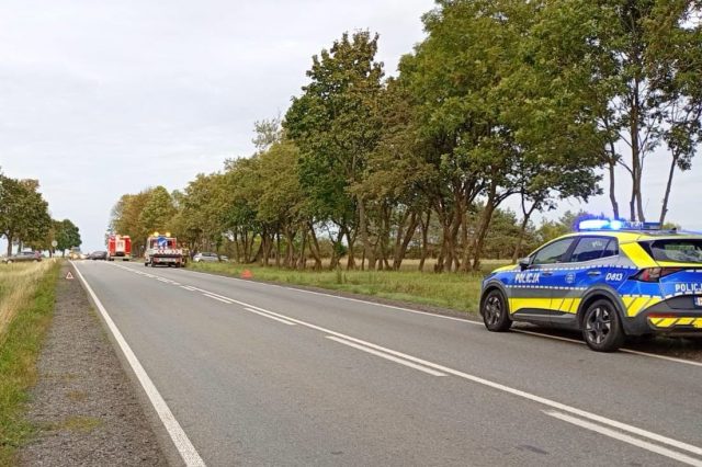 Jeleń zderzył się z trzema autami na drodze krajowej nr 48. Na miejscu pracują policjanci