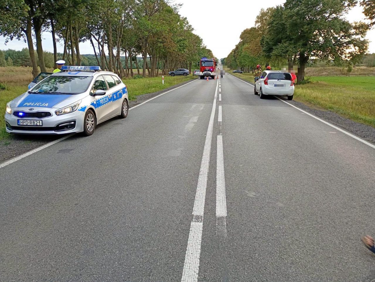 Jeleń zderzył się z trzema autami na drodze krajowej nr 48 koło Chrustnego