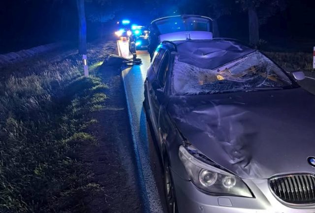 Na drodze pojawił się łoś. Kierowca BMW miał sporo szczęścia, nic mu się nie stało