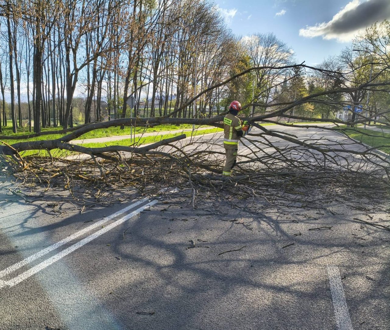 IMGW ostrzega przed silnym wiatrem na Lubelszczyźnie: porywy do 80 km/h