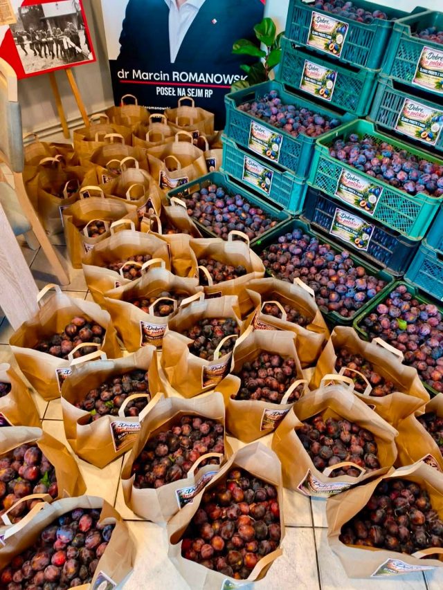 Ponad tona śliwek za darmo. Czwartkowa akcja w biurze posła Marcina Romanowskiego