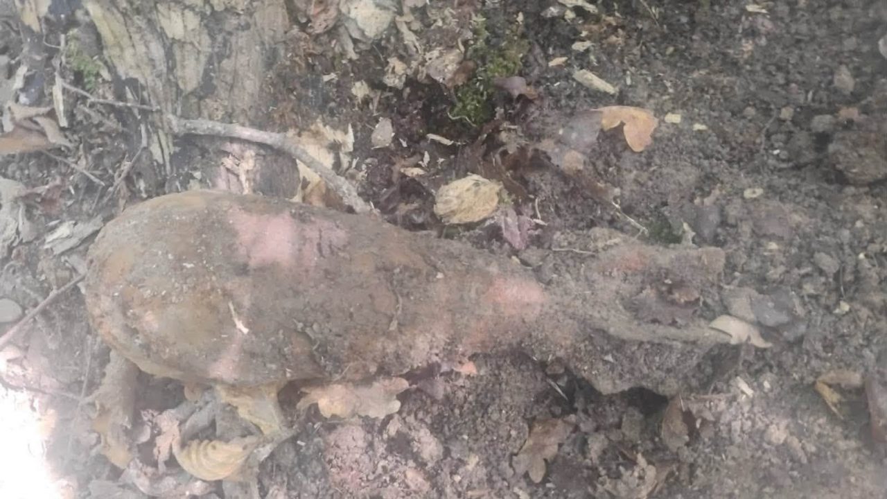Pocisk moździerzowy i przedmiot przypominający minę znalezione pod Lublinem