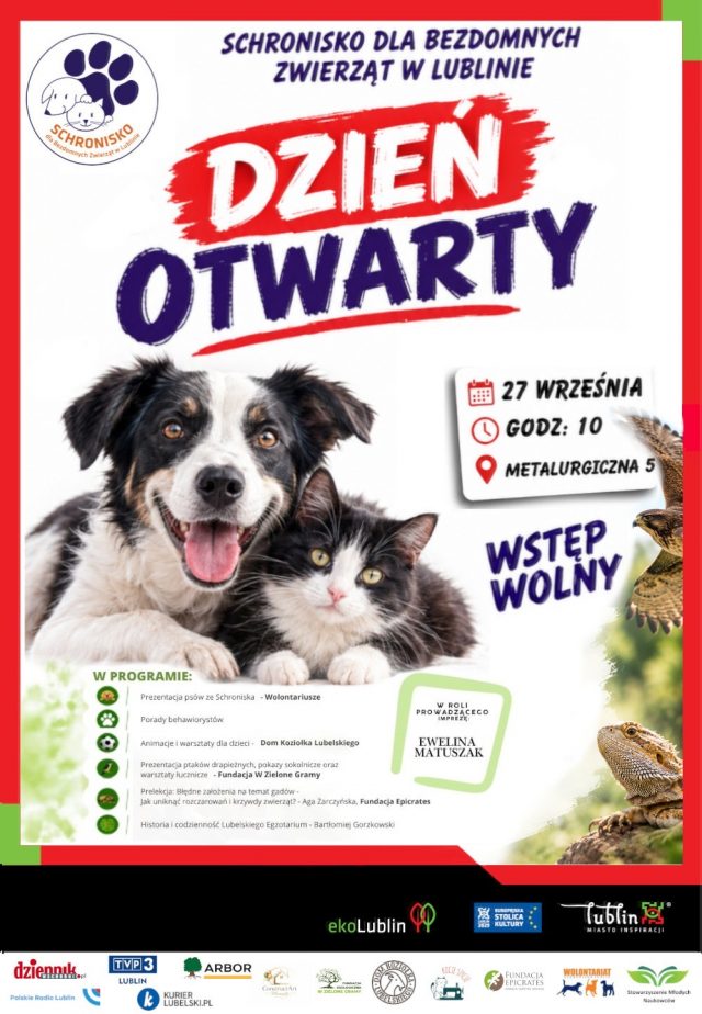Dzień Otwarty w lubelskim schronisku. Mieszkańcy poznają zwierzęta i pracę wolontariuszy