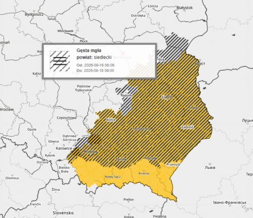 Gęsta mgła nad województwem lubelskim. Widzialność lokalnie spada poniżej 100 metrów