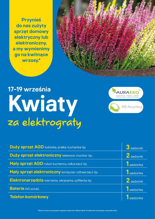 Wrzosy za elektrośmieci. Castorama rusza z jesienną akcją