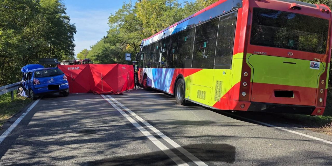 Volkswagen wyjechał pod autobus koło Puław. Kierowca zginął, cztery osoby w szpitalu
