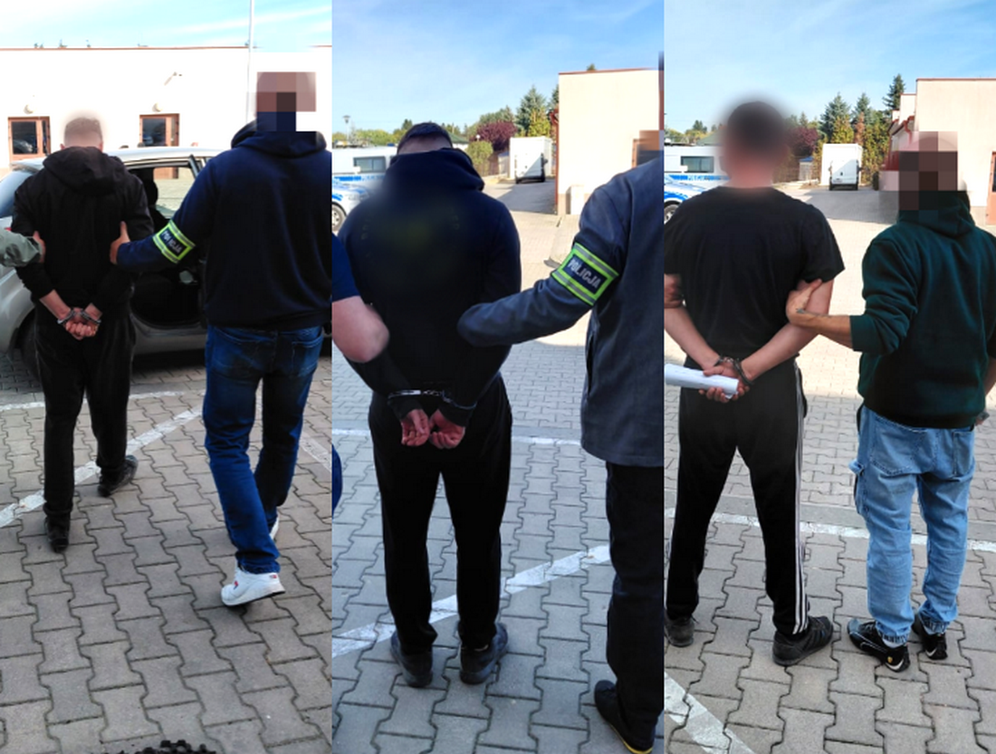 Nielegalna uprawa konopi w lesie pod Łęczną: trzech mężczyzn aresztowanych