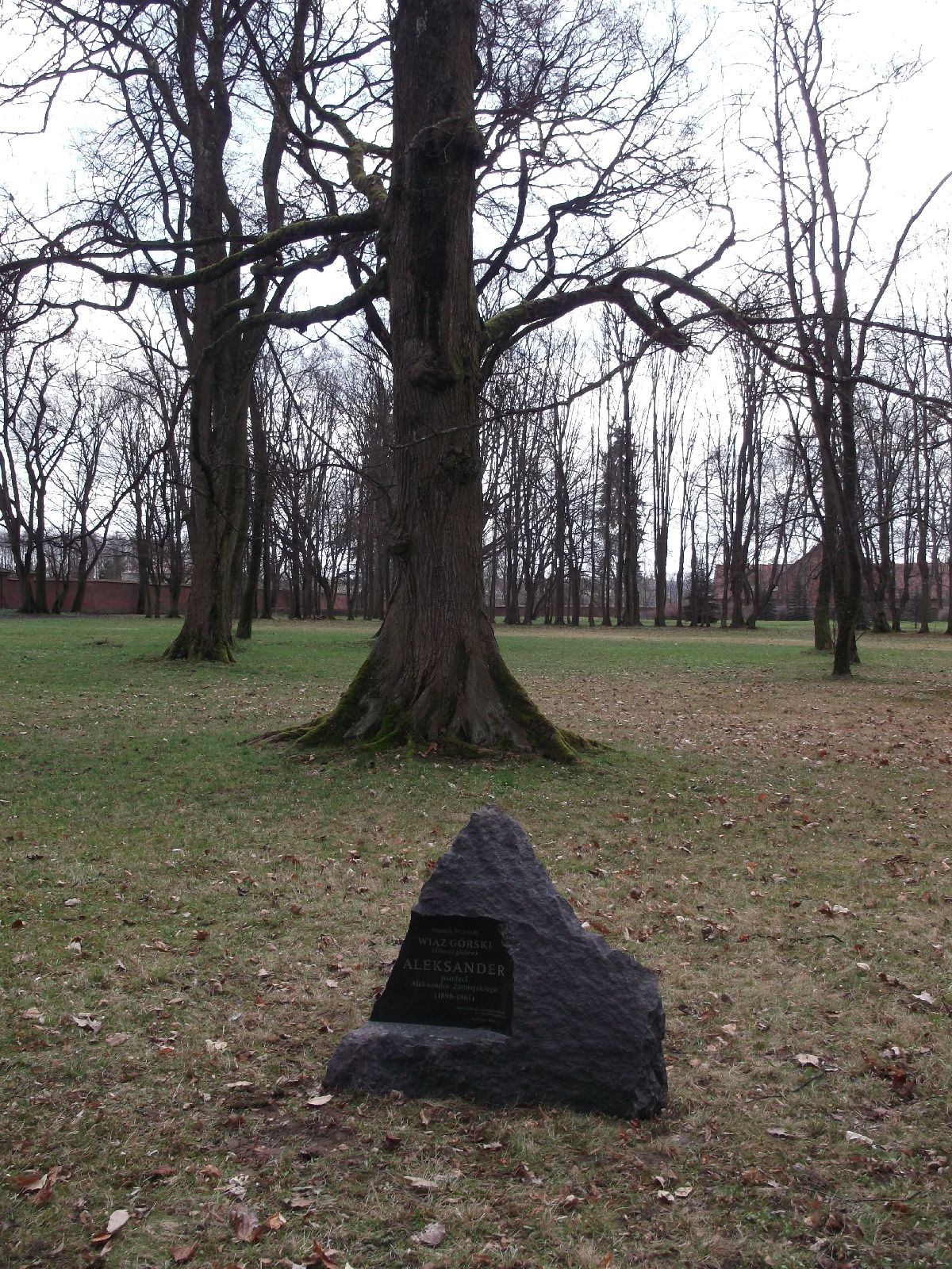 pomniki_03