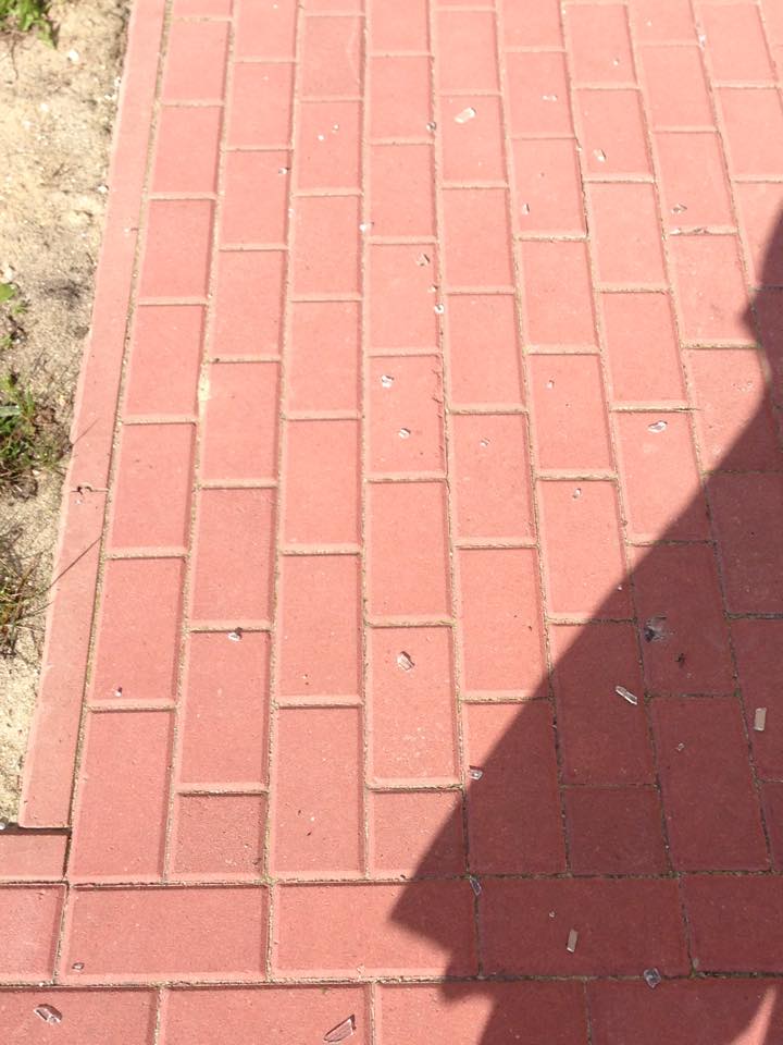 11122341_10205352310719986_72580
