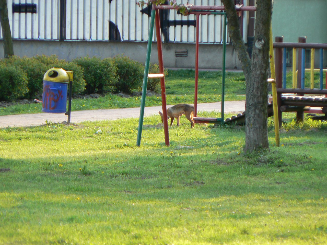 P1120134