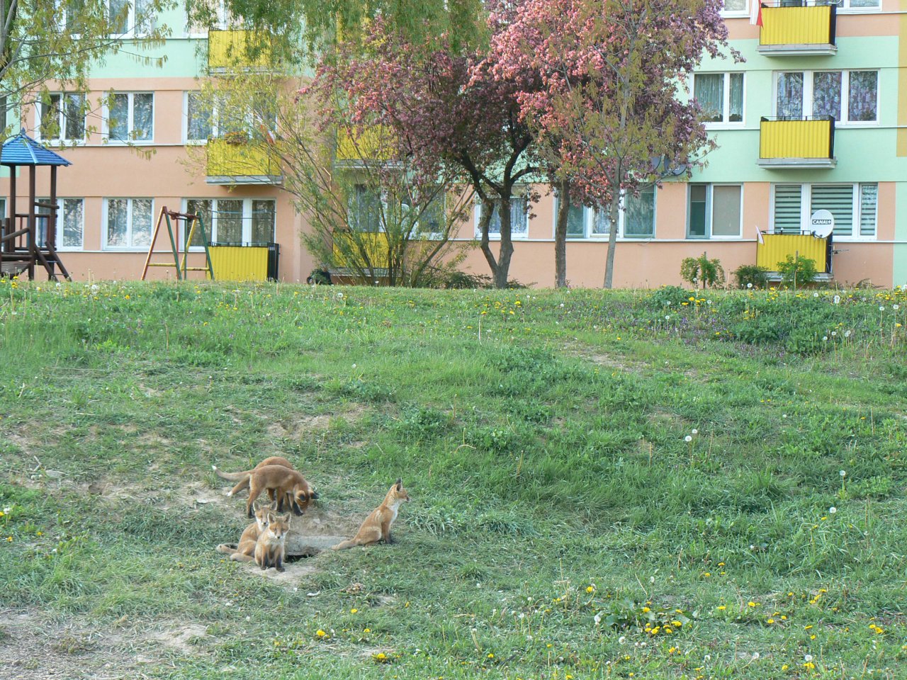 P1120153
