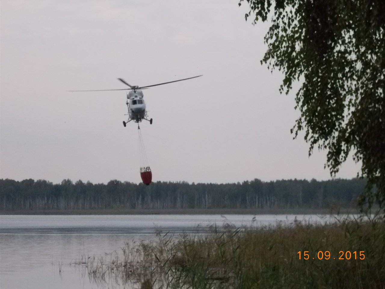 DSCN6252