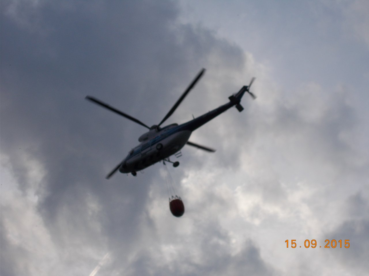 DSCN6262