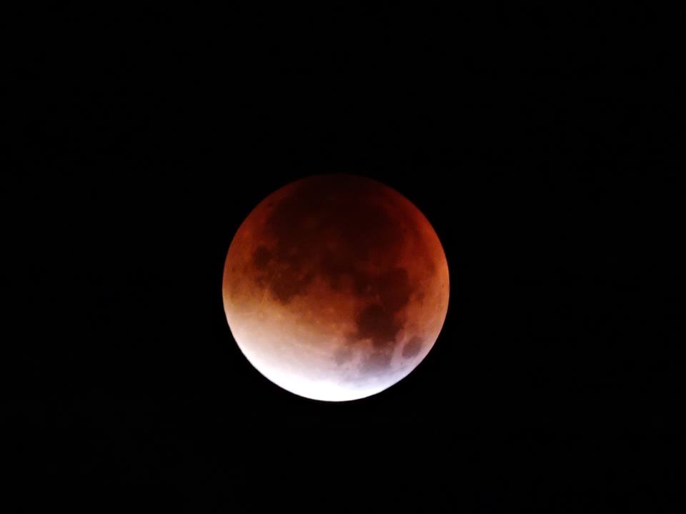 12080795_1046807522016916_178605