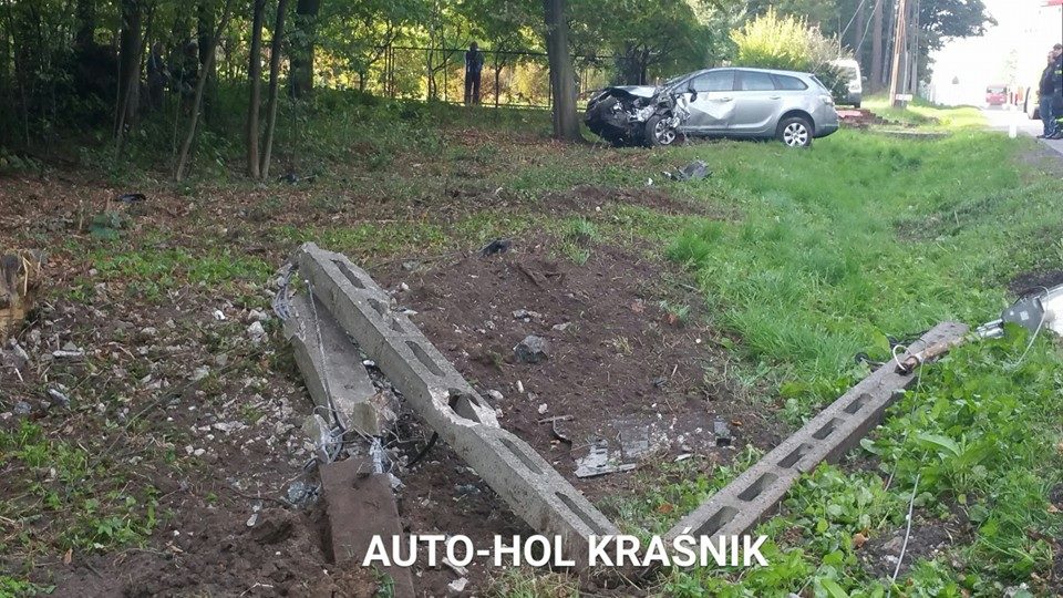 12115877_1675902809289511_496301