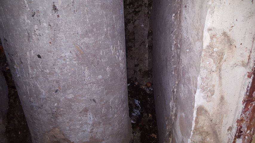 12207913_1265088353516906_212443