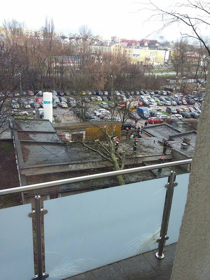 dzrzeowkonrad