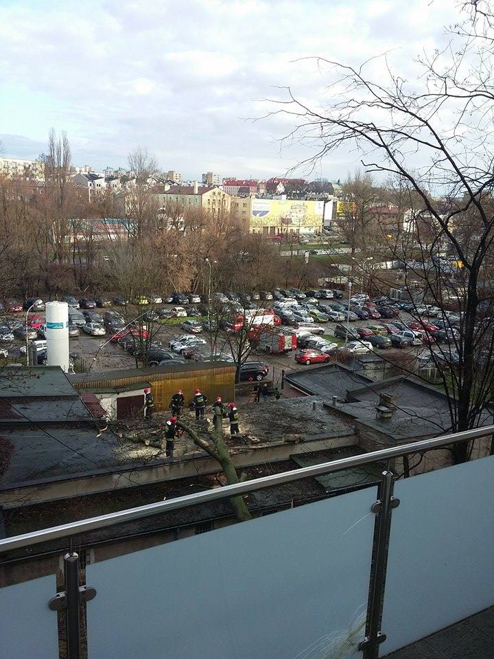dzrzeowkonrad2