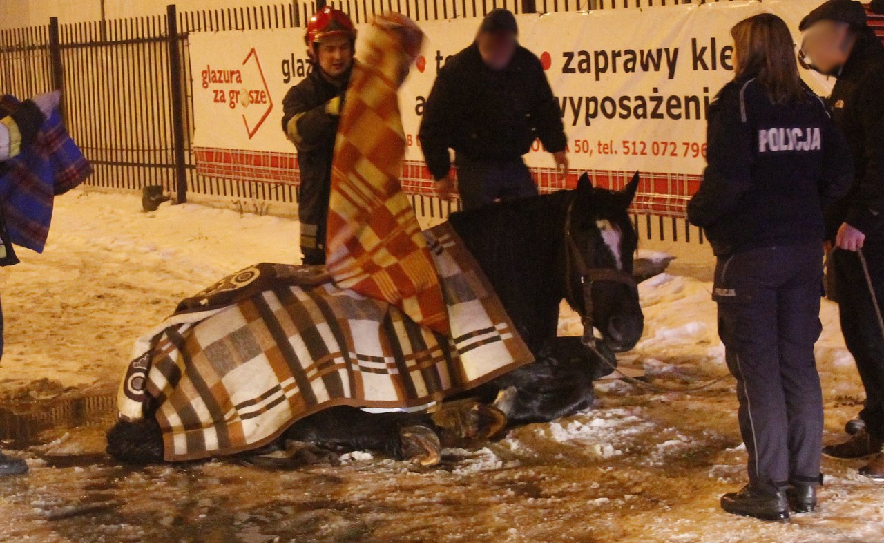 MG_9707