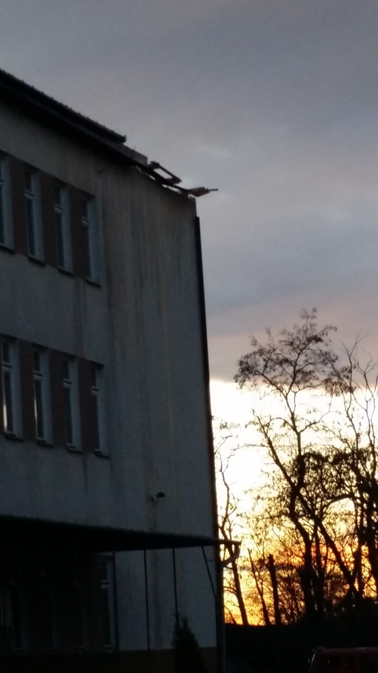 20160329_190520