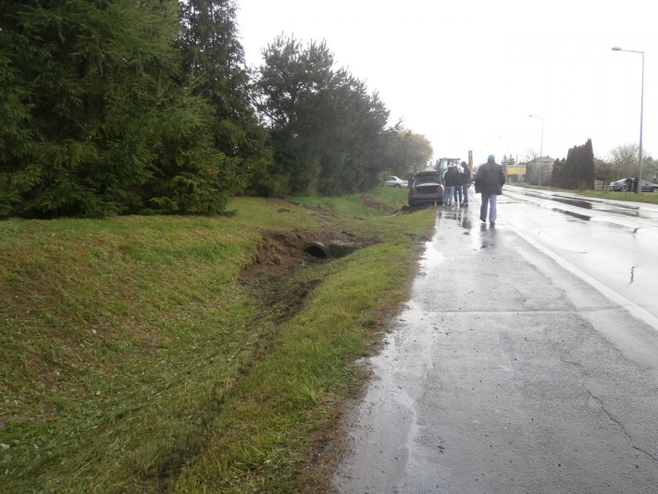 gluszczyzna2