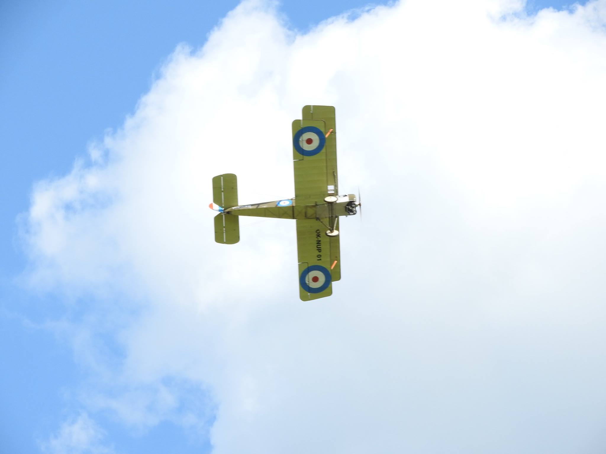 13443145_1034175040001893_494983